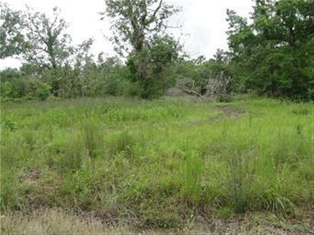 1687 Longville Road Longville, LA 70652 - Photo 1 of 4 Gallery Image 1