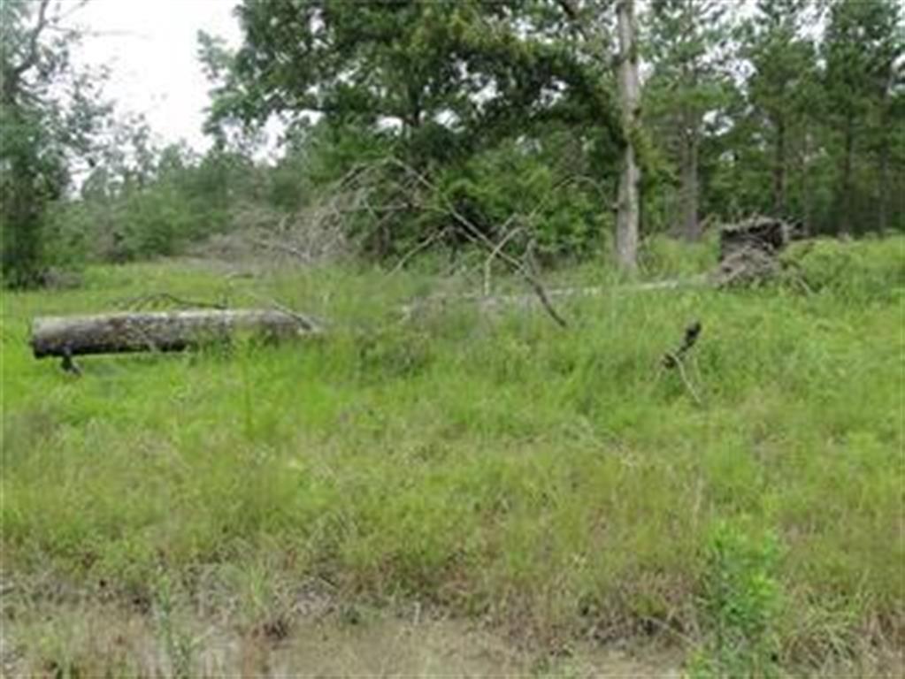 1687 Longville Road Longville, LA 70652 - Photo 2 of 4 Gallery Image 2