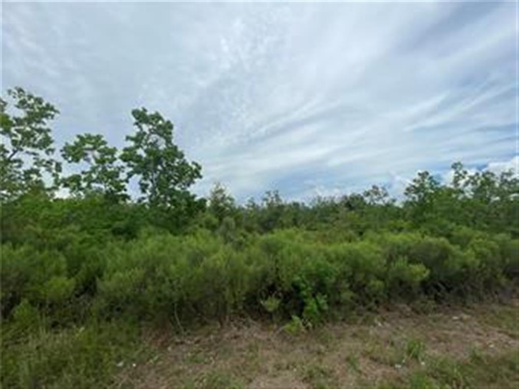 1687 Longville Road Longville, LA 70652 - Photo 4 of 4 Gallery Image 4