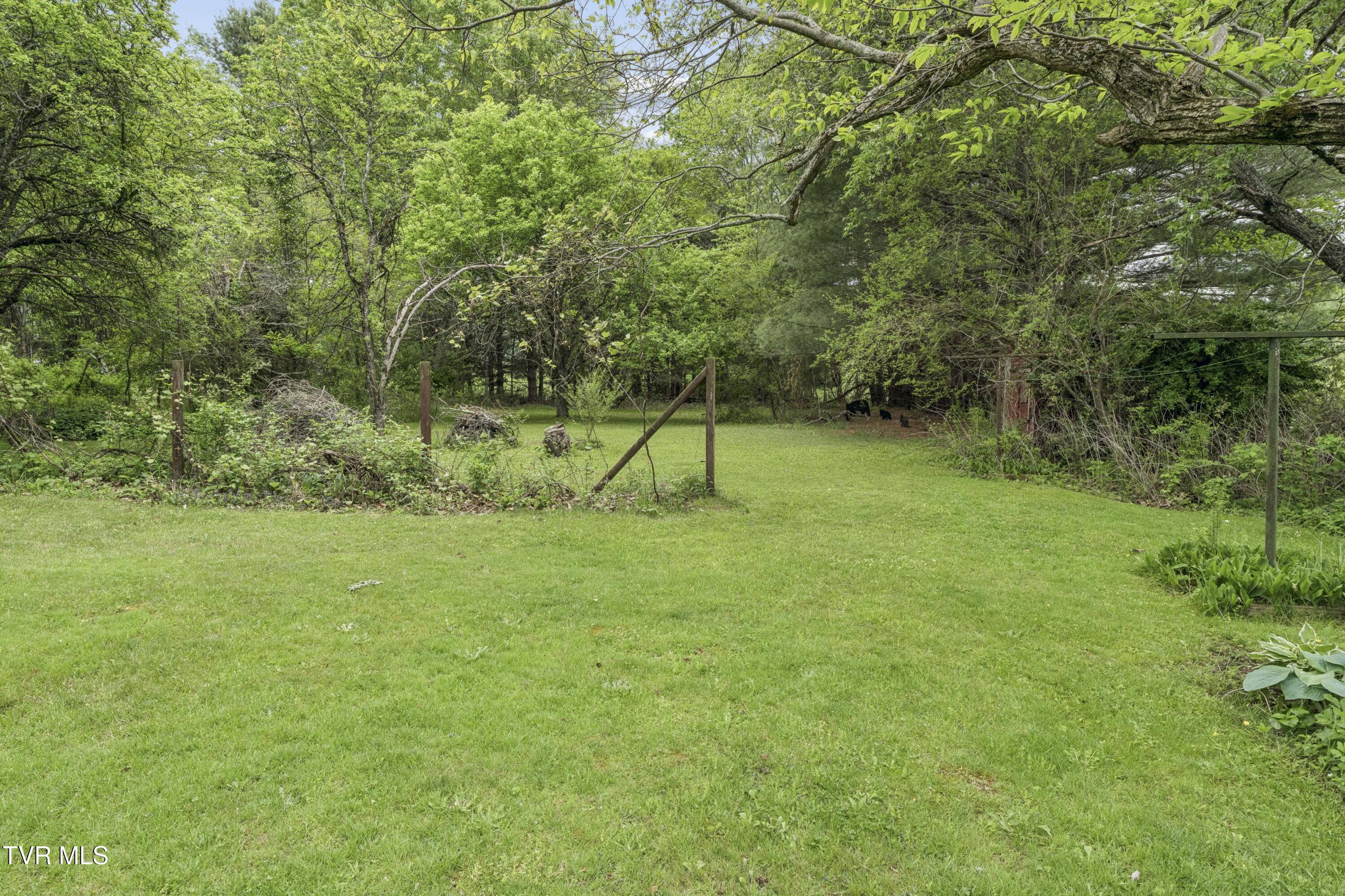 278 Old Butler Road Mountain City, TN 37683 - Photo 12 of 35 OldButler--21