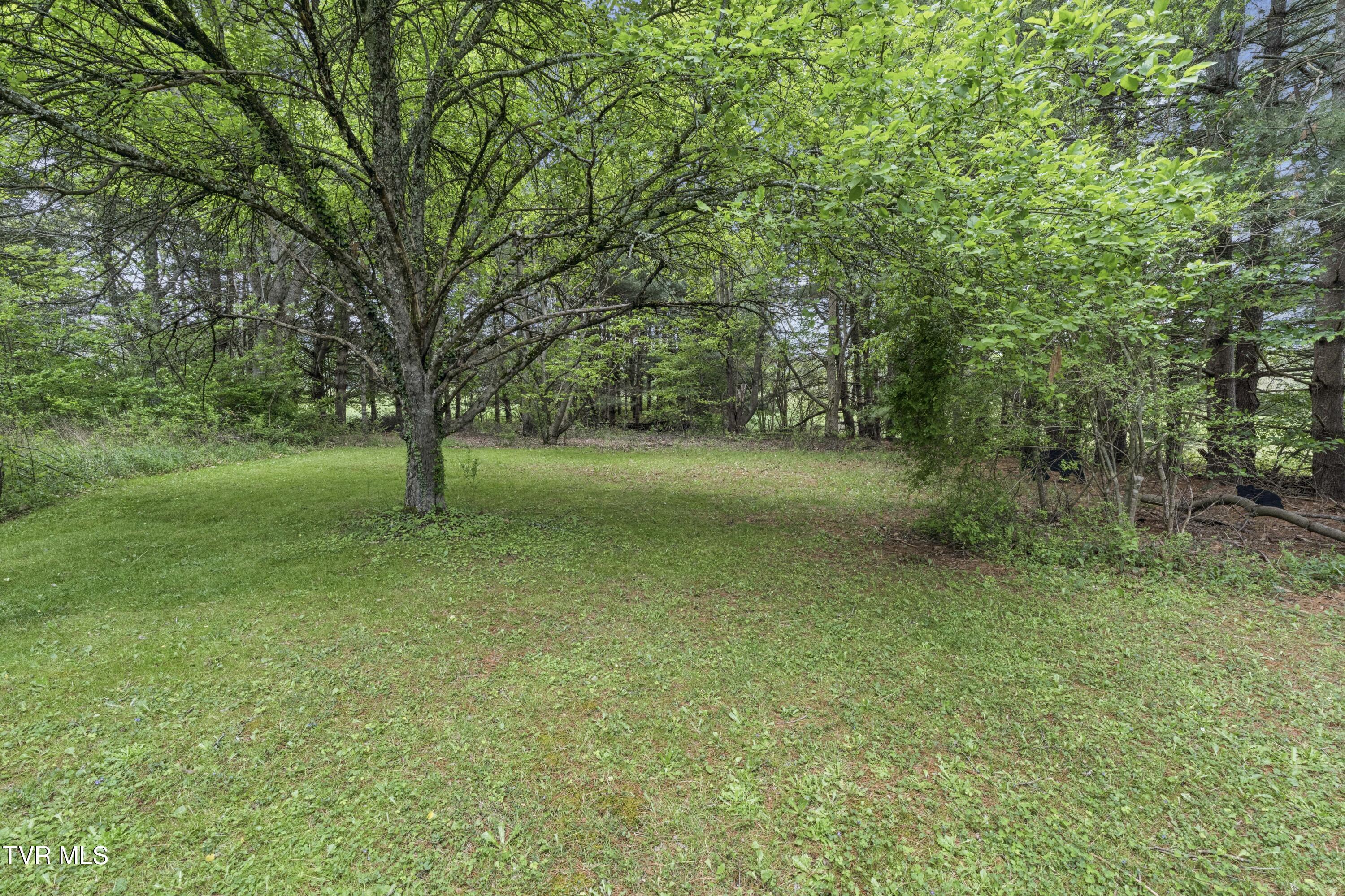 278 Old Butler Road Mountain City, TN 37683 - Photo 13 of 35 OldButler--22
