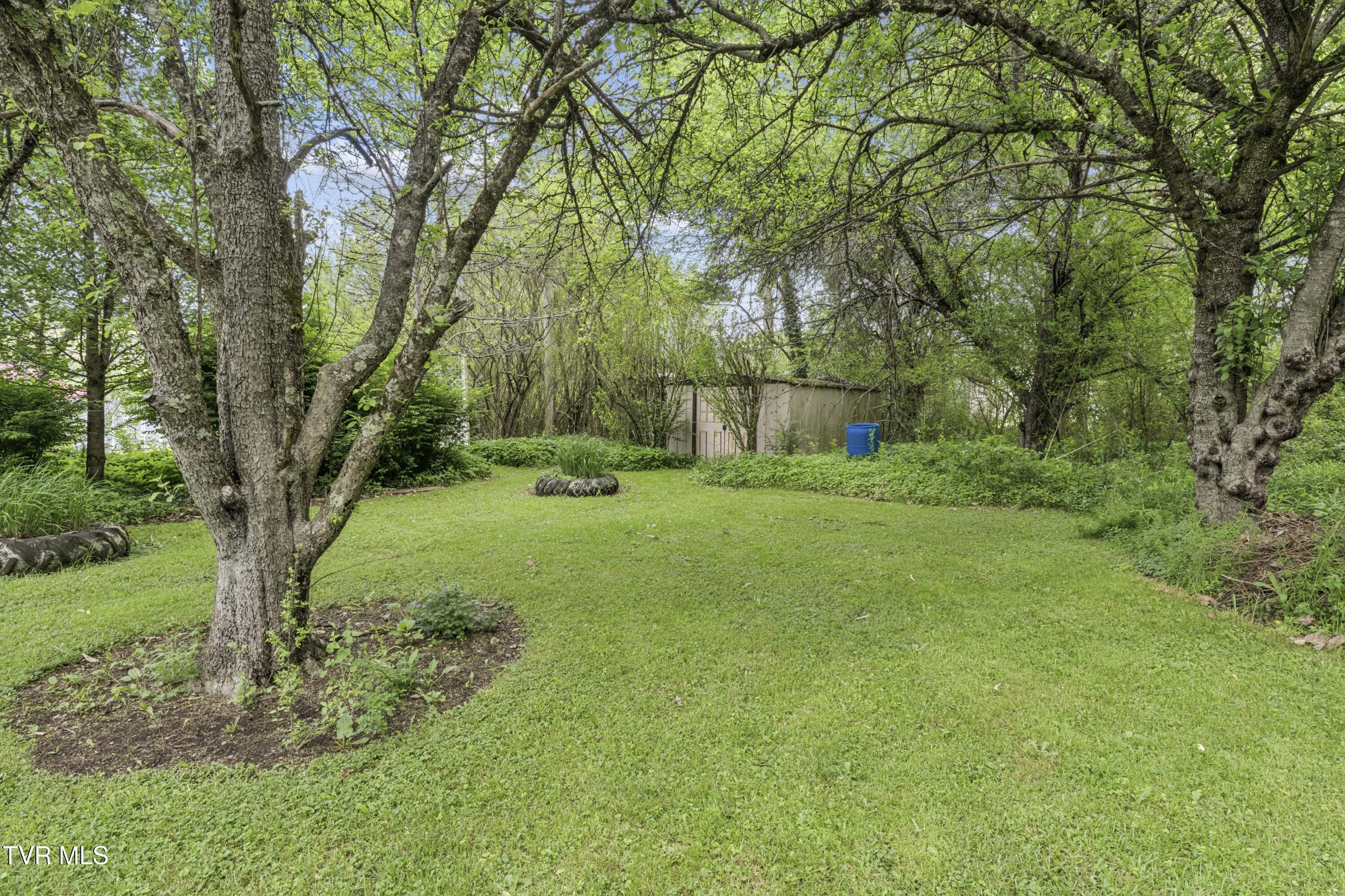 278 Old Butler Road Mountain City, TN 37683 - Photo 15 of 35 OldButler--24