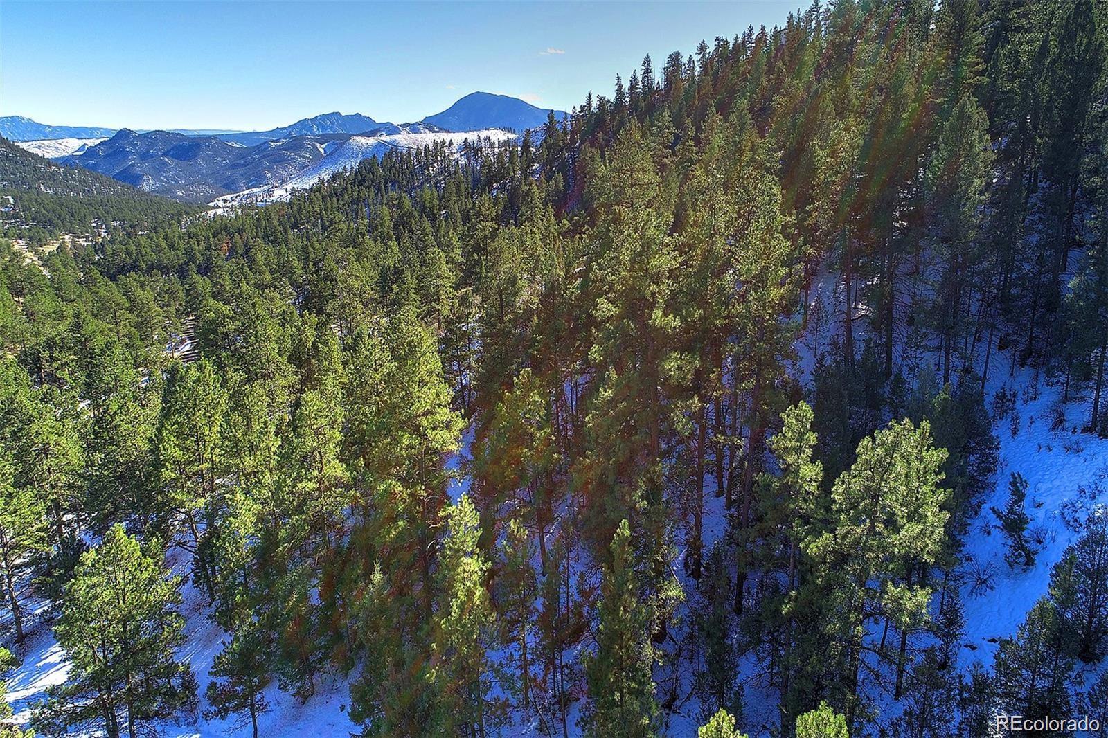 6 Turret Peak Road Pine, CO 80470 - Photo 7 of 17