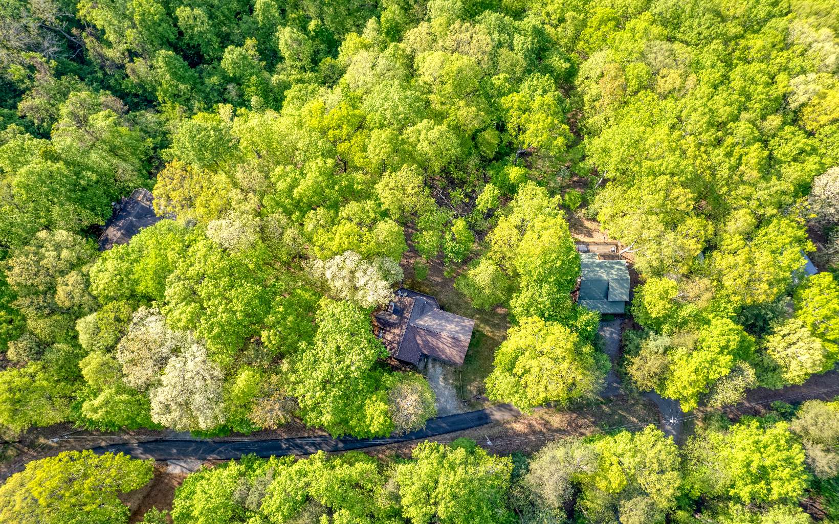 778 Walnut Mountain Road Ellijay, GA 30536 - Photo 62 of 67 Additional View