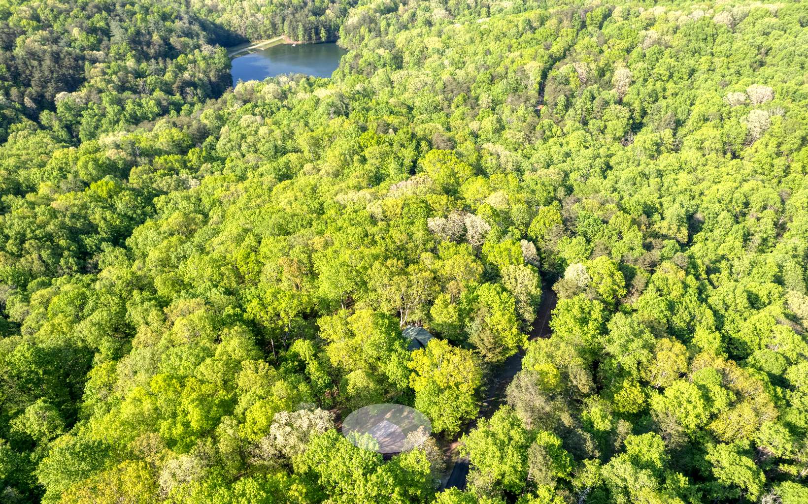 778 Walnut Mountain Road Ellijay, GA 30536 - Photo 63 of 67 Additional View