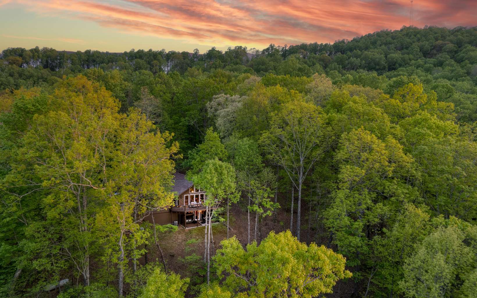 778 Walnut Mountain Road Ellijay, GA 30536 - Photo 67 of 67 Additional View
