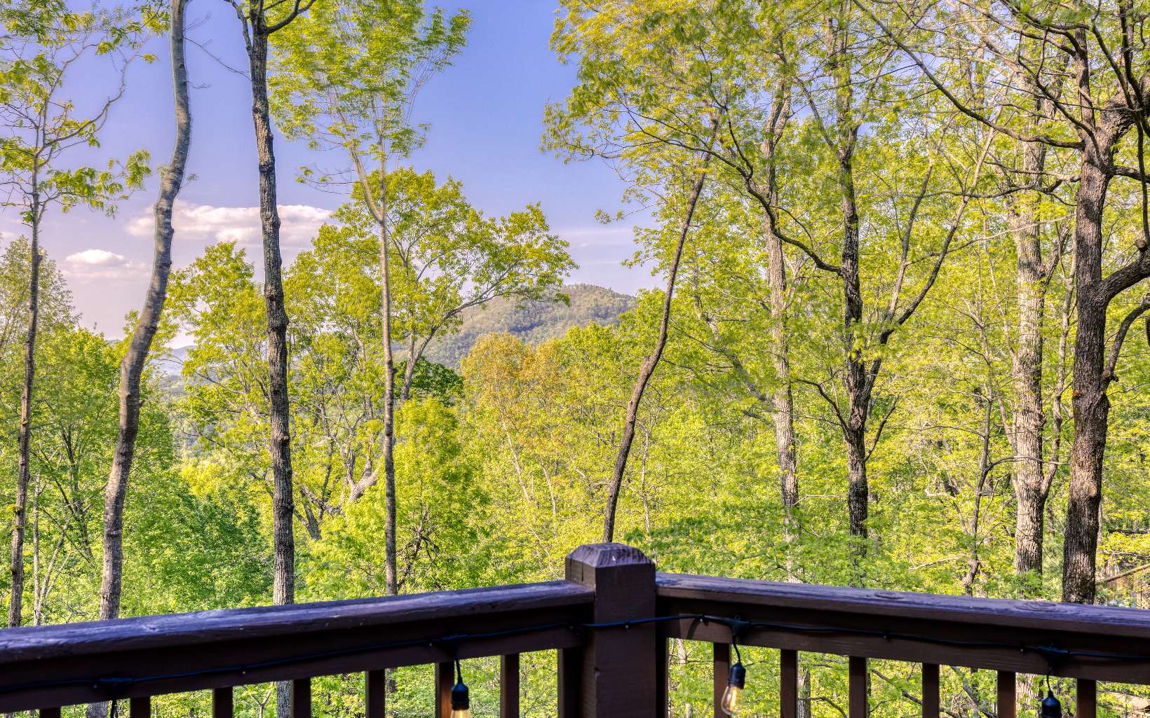 778 Walnut Mountain Road Ellijay, GA 30536 - Photo 9 of 67 Additional View