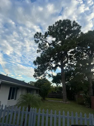 a view of a yard of a house