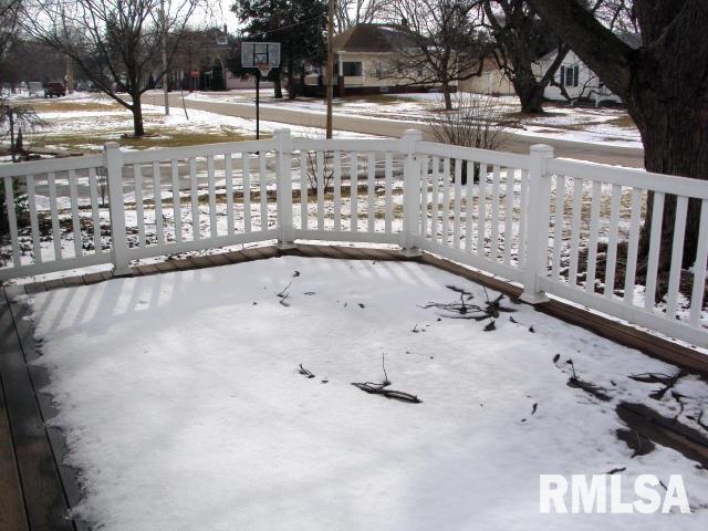 307 North Park Street Alpha, IL 61413 - Photo 13 of 15 Gallery Image 13