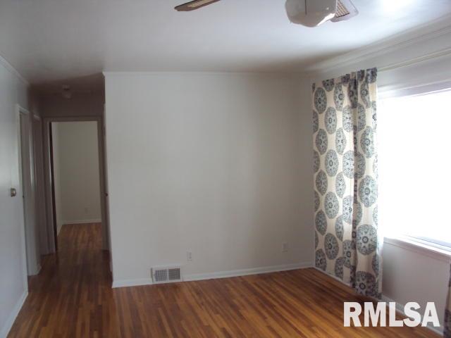 307 North Park Street Alpha, IL 61413 - Photo 3 of 15 Gallery Image 3