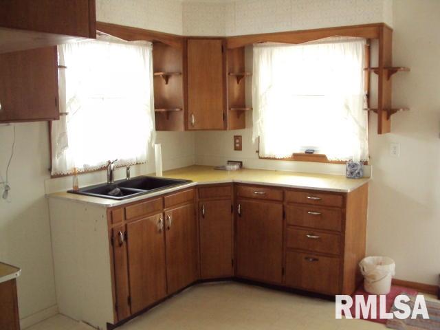307 North Park Street Alpha, IL 61413 - Photo 4 of 15 Gallery Image 4