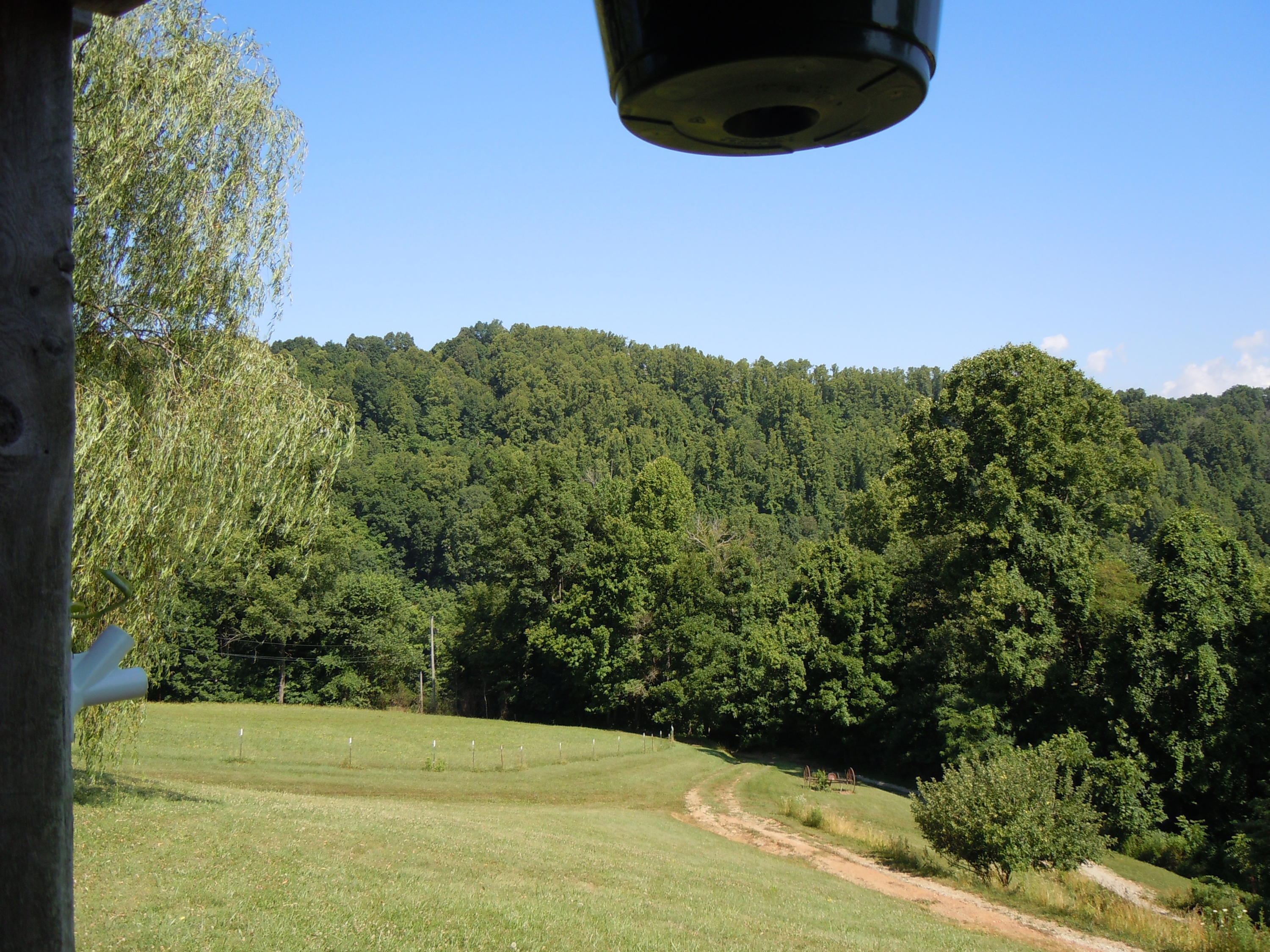1366 Castle Run Road Castlewood, VA 24224 - Photo 18 of 34 View from front porch