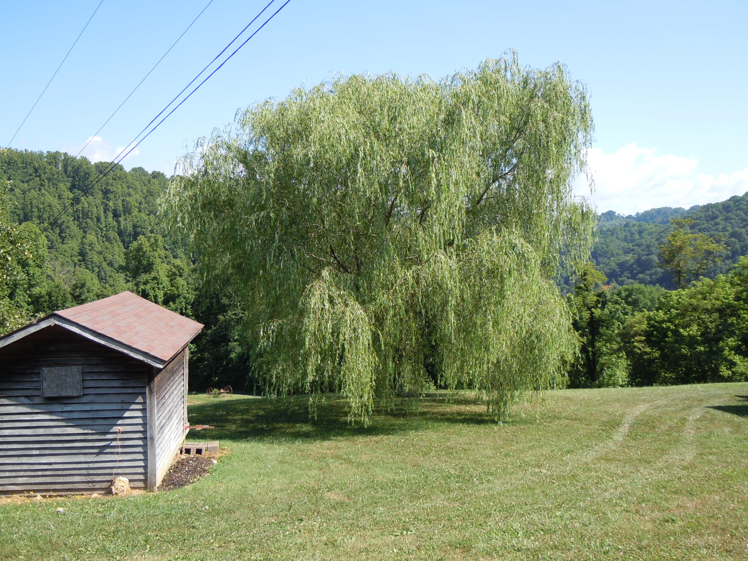 1366 Castle Run Road Castlewood, VA 24224 - Photo 22 of 34 play house