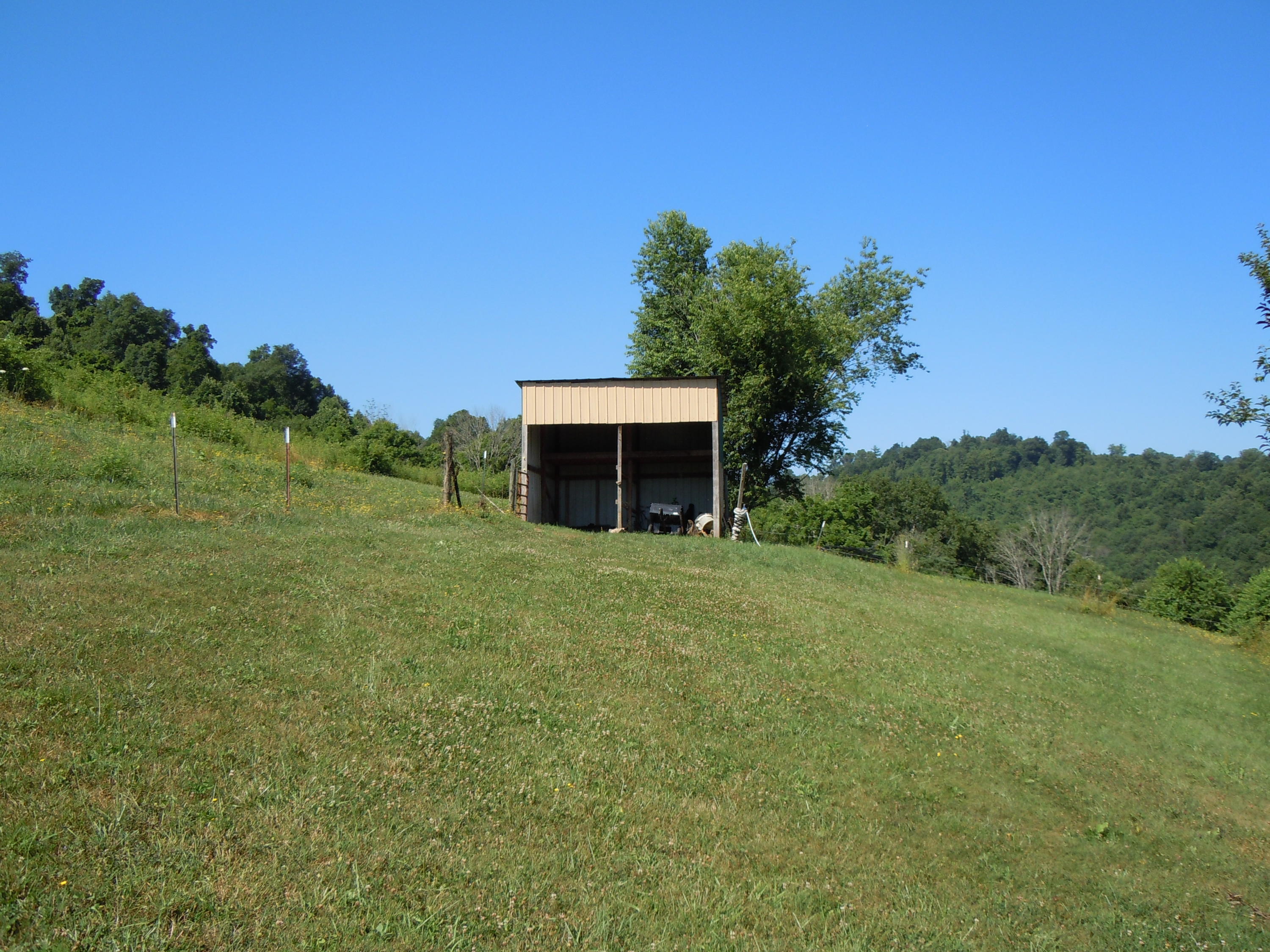 1366 Castle Run Road Castlewood, VA 24224 - Photo 23 of 34 shed