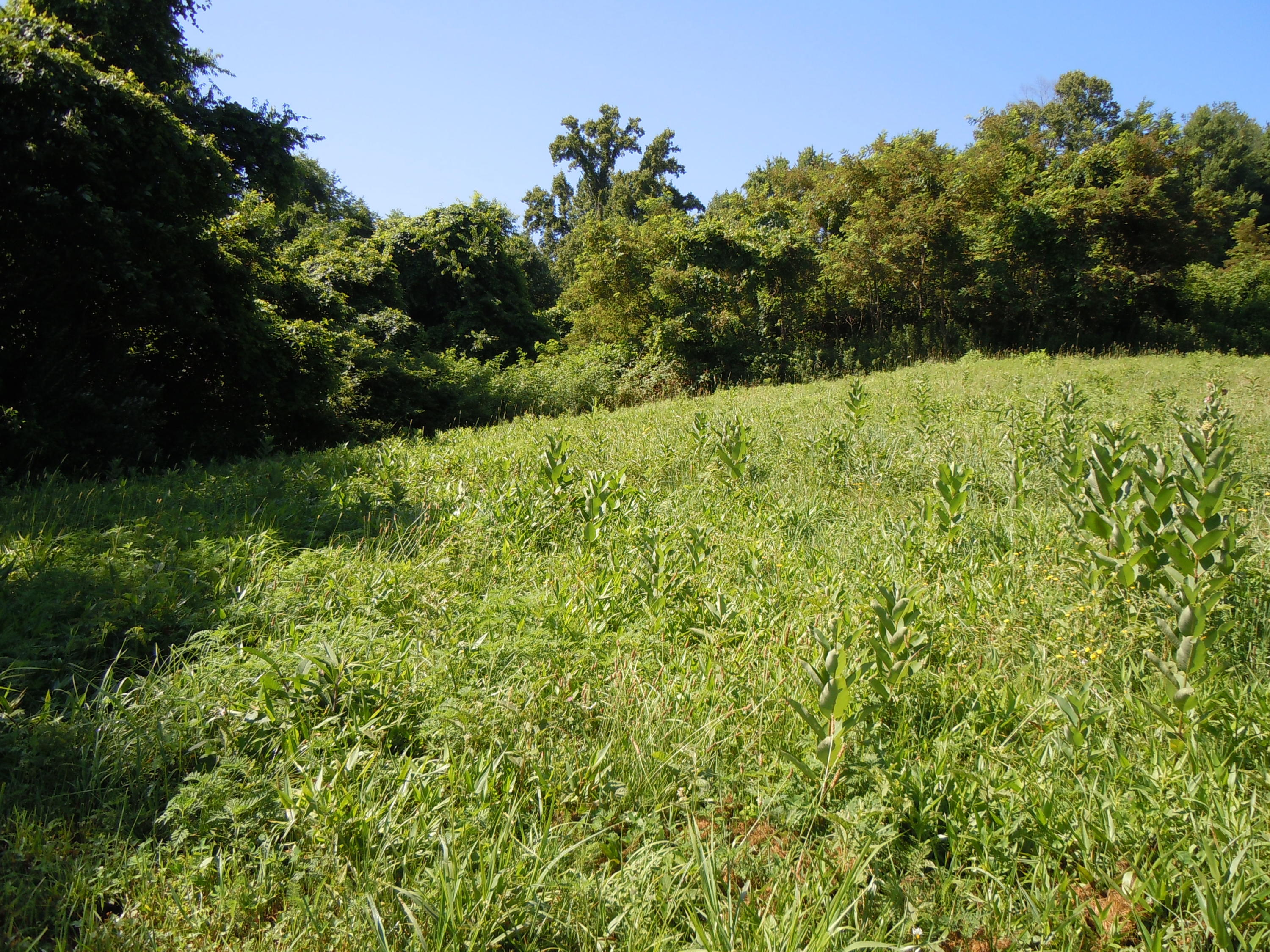 1366 Castle Run Road Castlewood, VA 24224 - Photo 27 of 34 DSCN1996