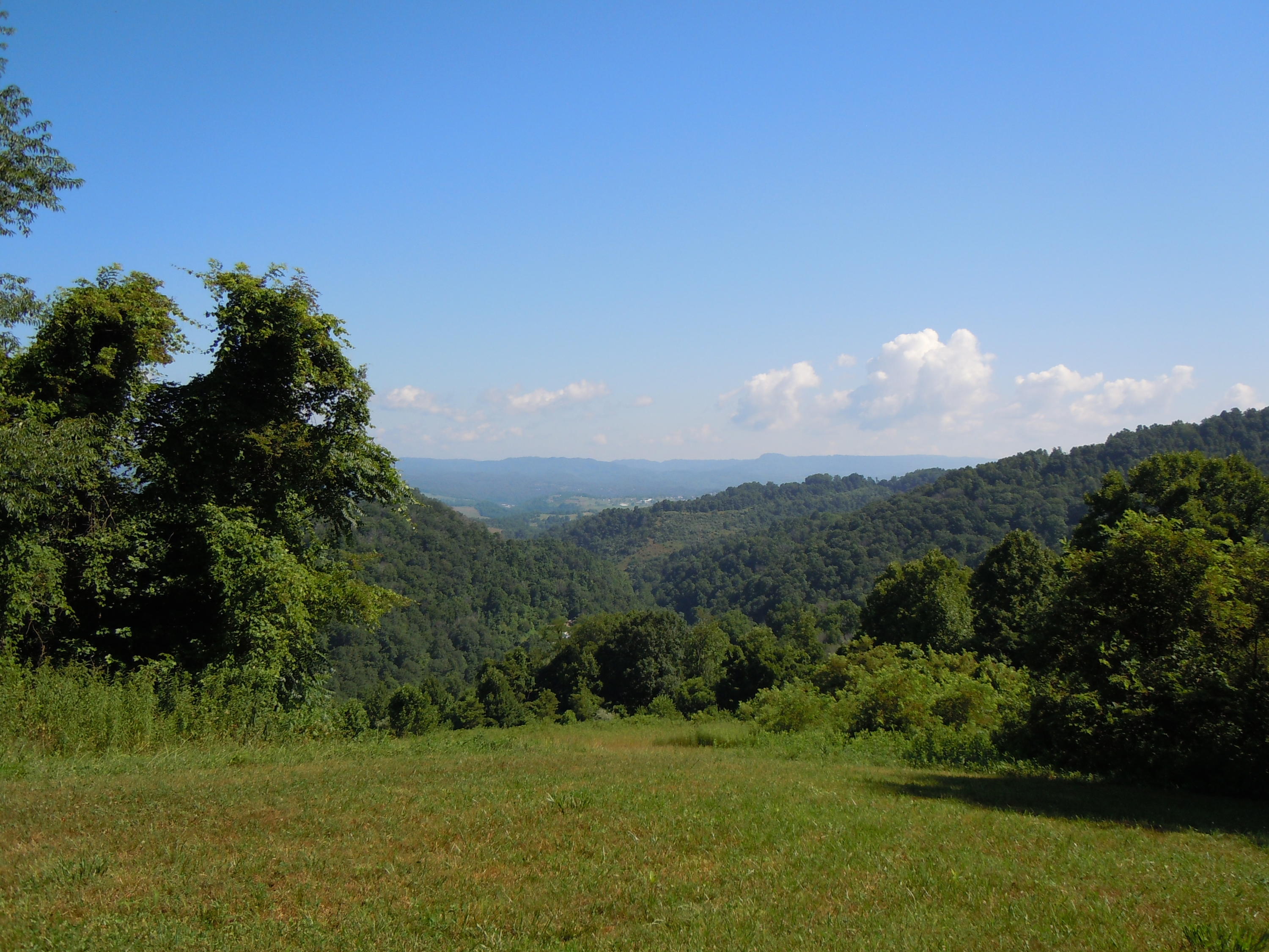 1366 Castle Run Road Castlewood, VA 24224 - Photo 28 of 34 View from top field