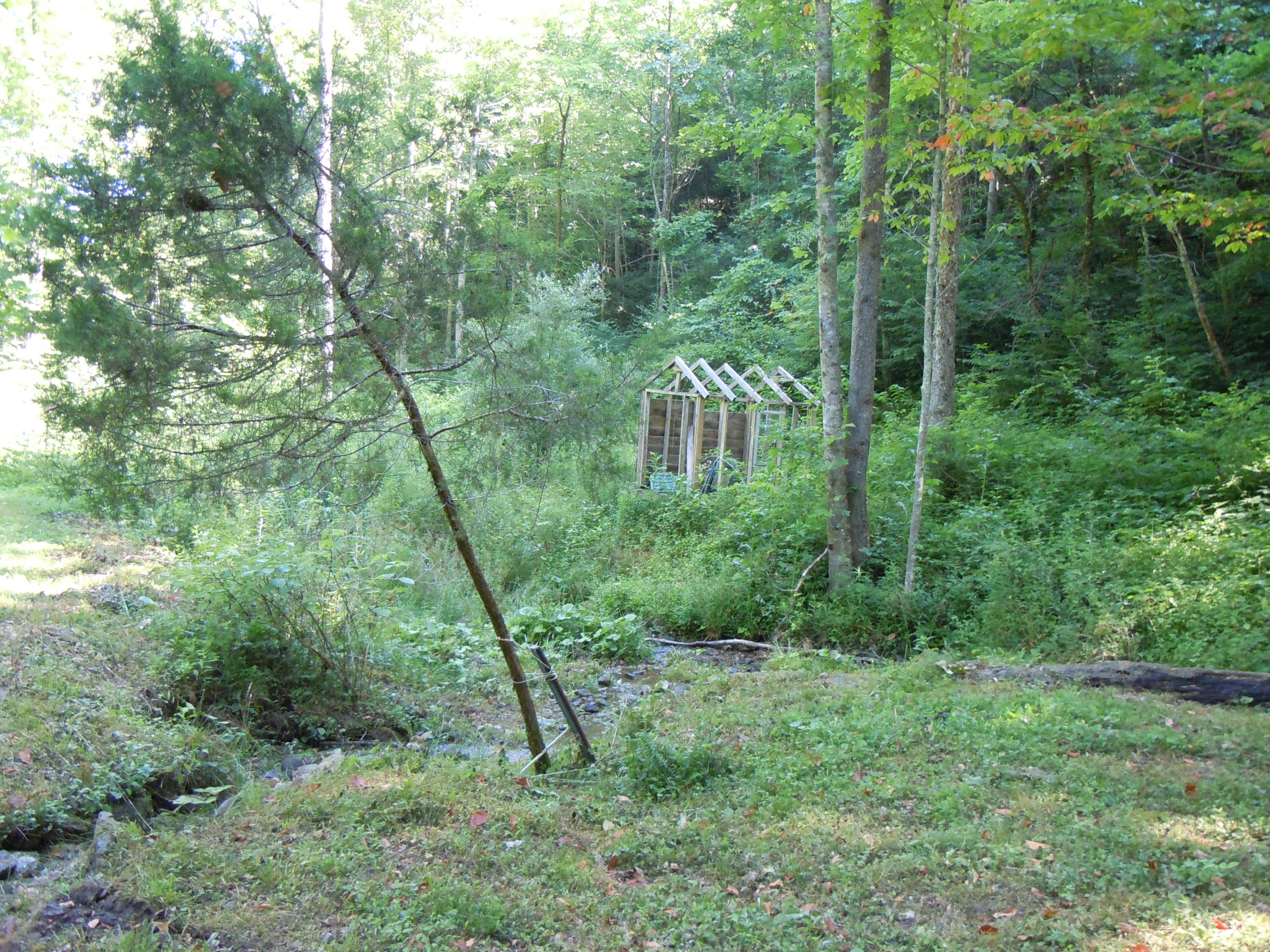 1366 Castle Run Road Castlewood, VA 24224 - Photo 30 of 34 lower area near springs