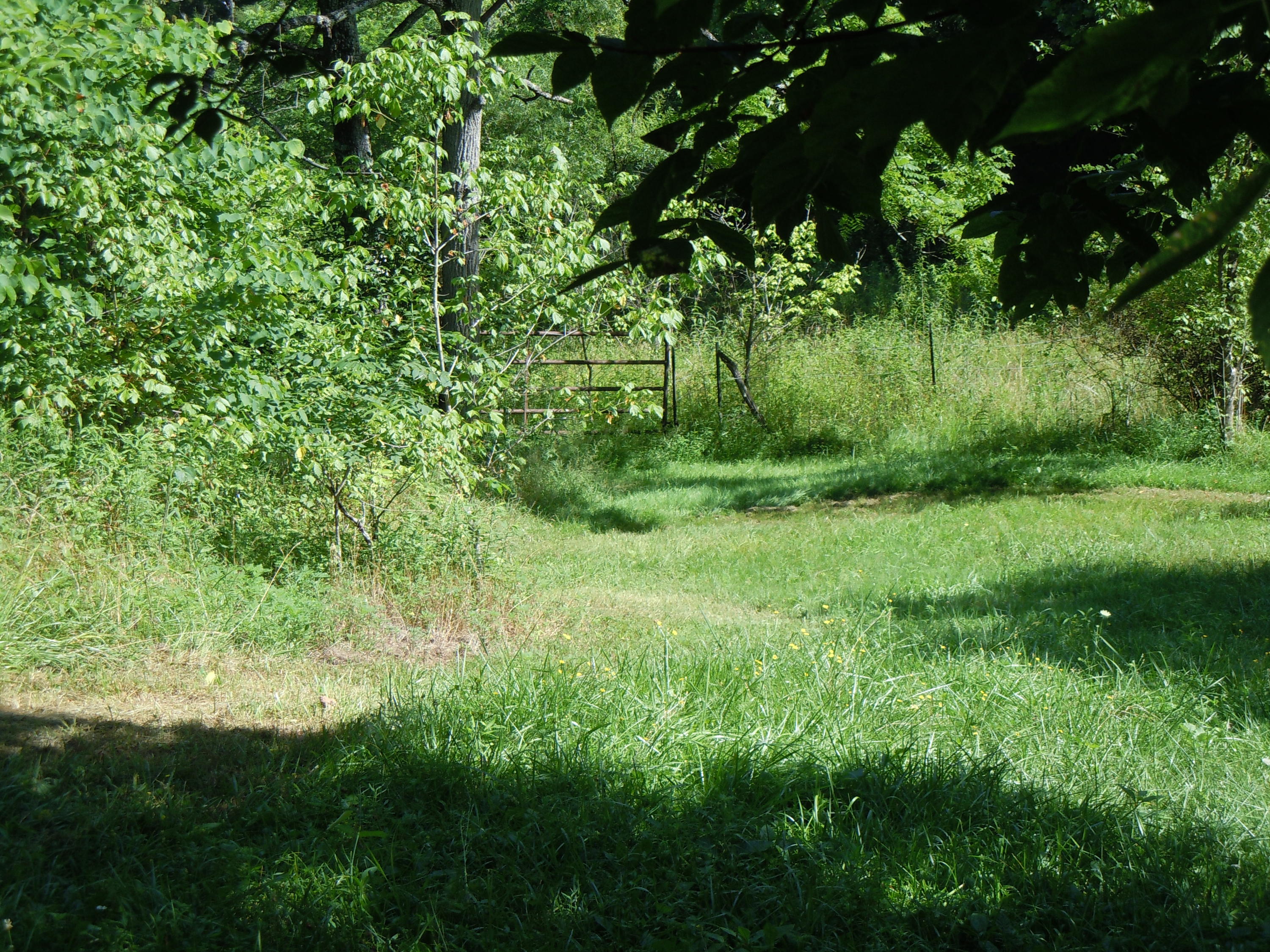 1366 Castle Run Road Castlewood, VA 24224 - Photo 31 of 34 Lower field and boundry fence
