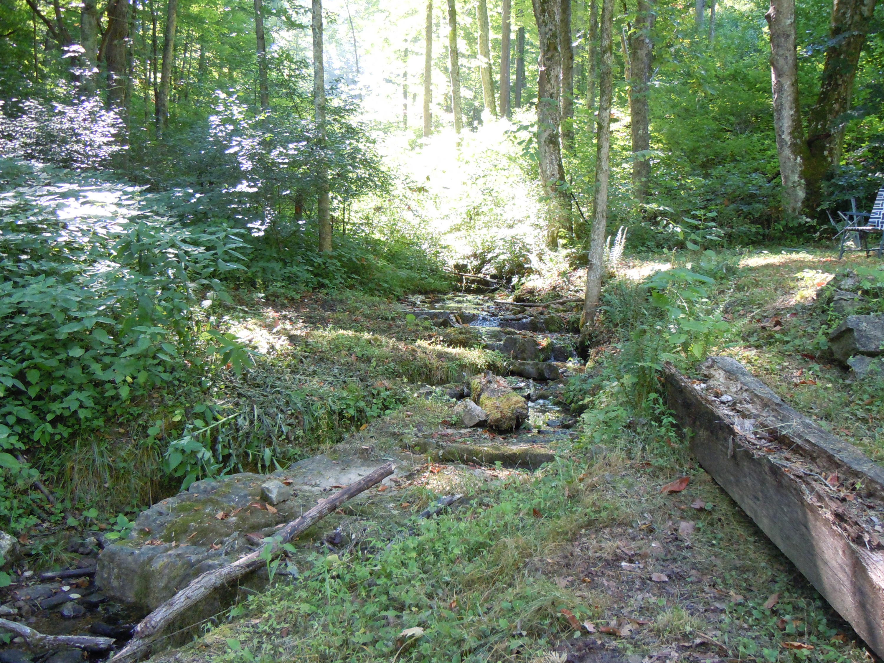1366 Castle Run Road Castlewood, VA 24224 - Photo 34 of 34 water never dries up