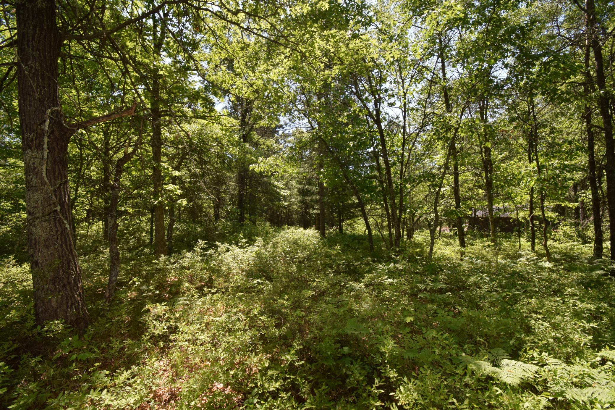 29093 Deerpath Pass Danbury, WI 54830 - Photo 76 of 94