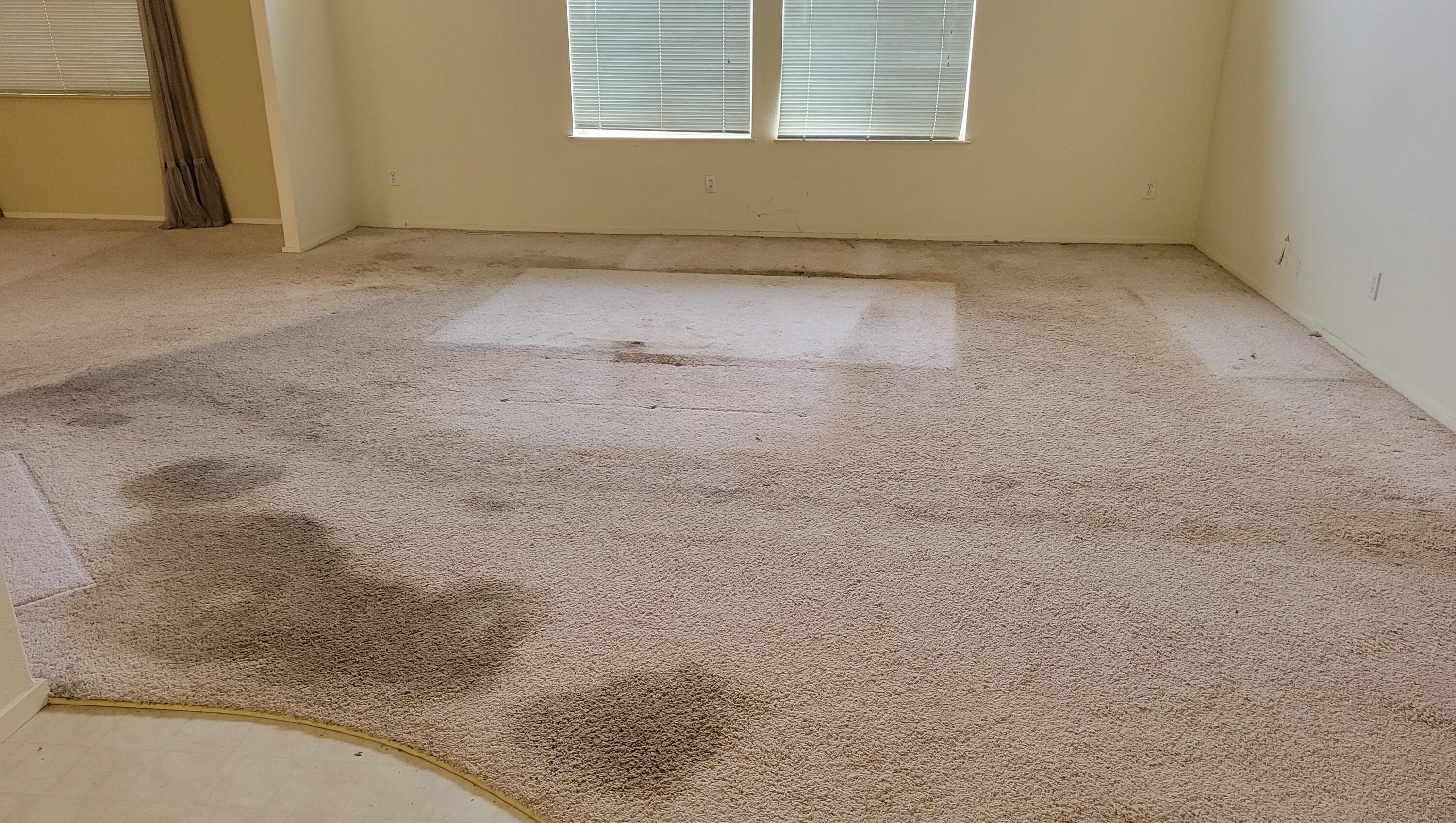 995 Riverside Drive, Unit 49 Rio Dell, CA 95562 - Photo 43 of 44