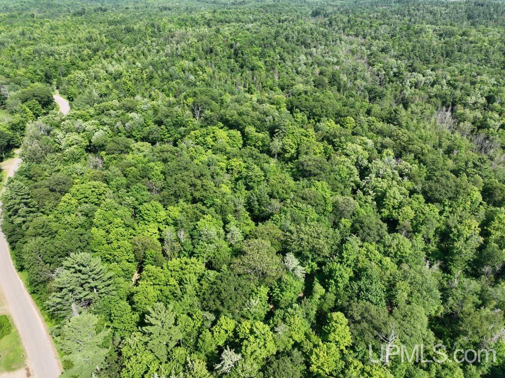 0 Gold Mine Lake Road Ishpeming, MI 49849 - Photo 9 of 19