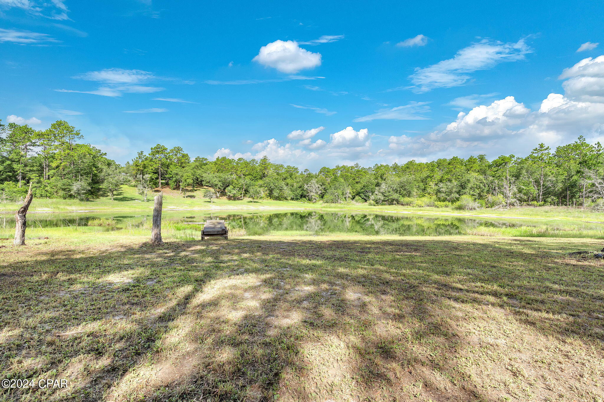 3596 Payne Lake Road Chipley, FL 32428 - Photo 8 of 23