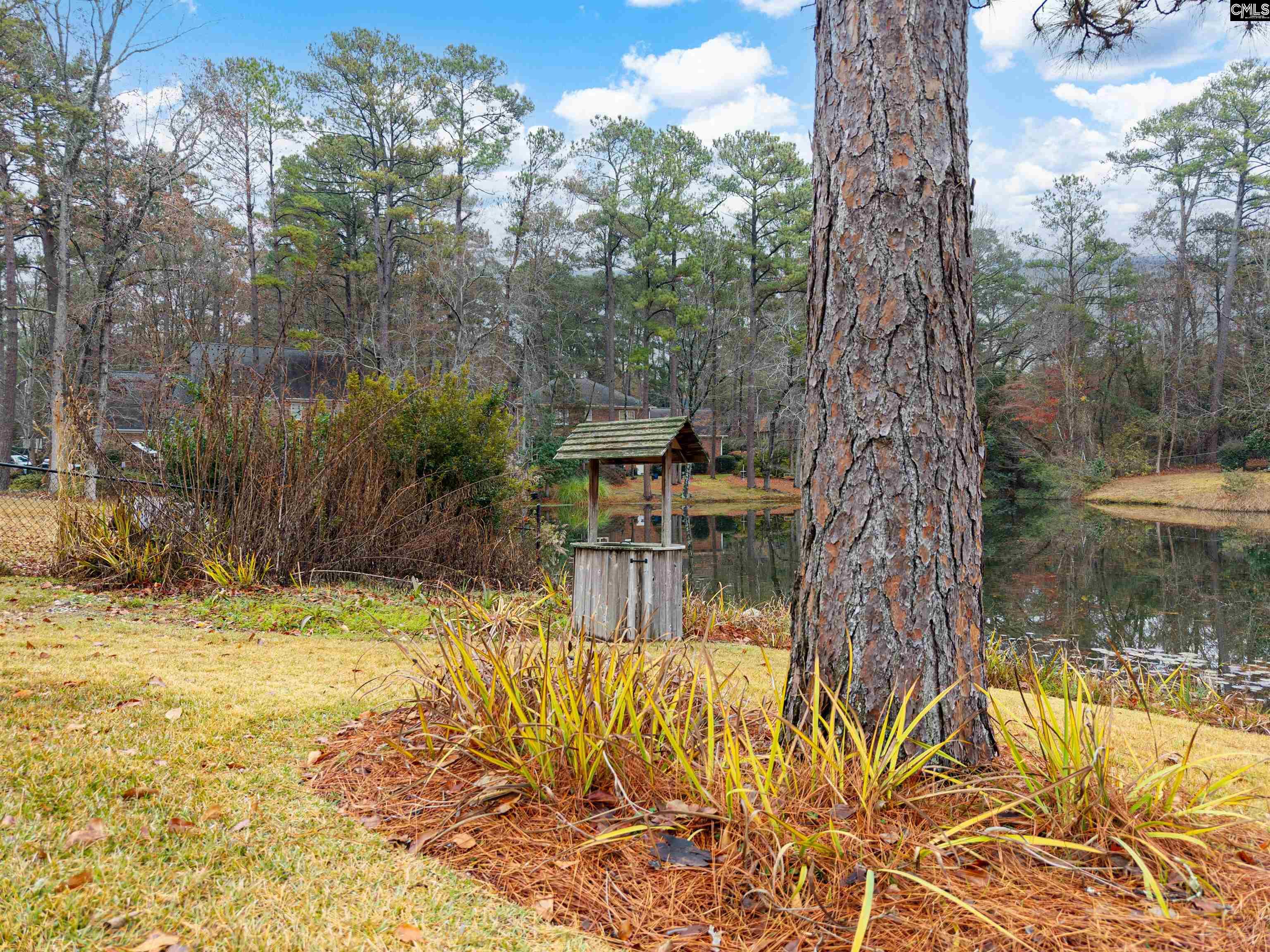 109 Kerryton Road Columbia, SC 29223 - Photo 42 of 48