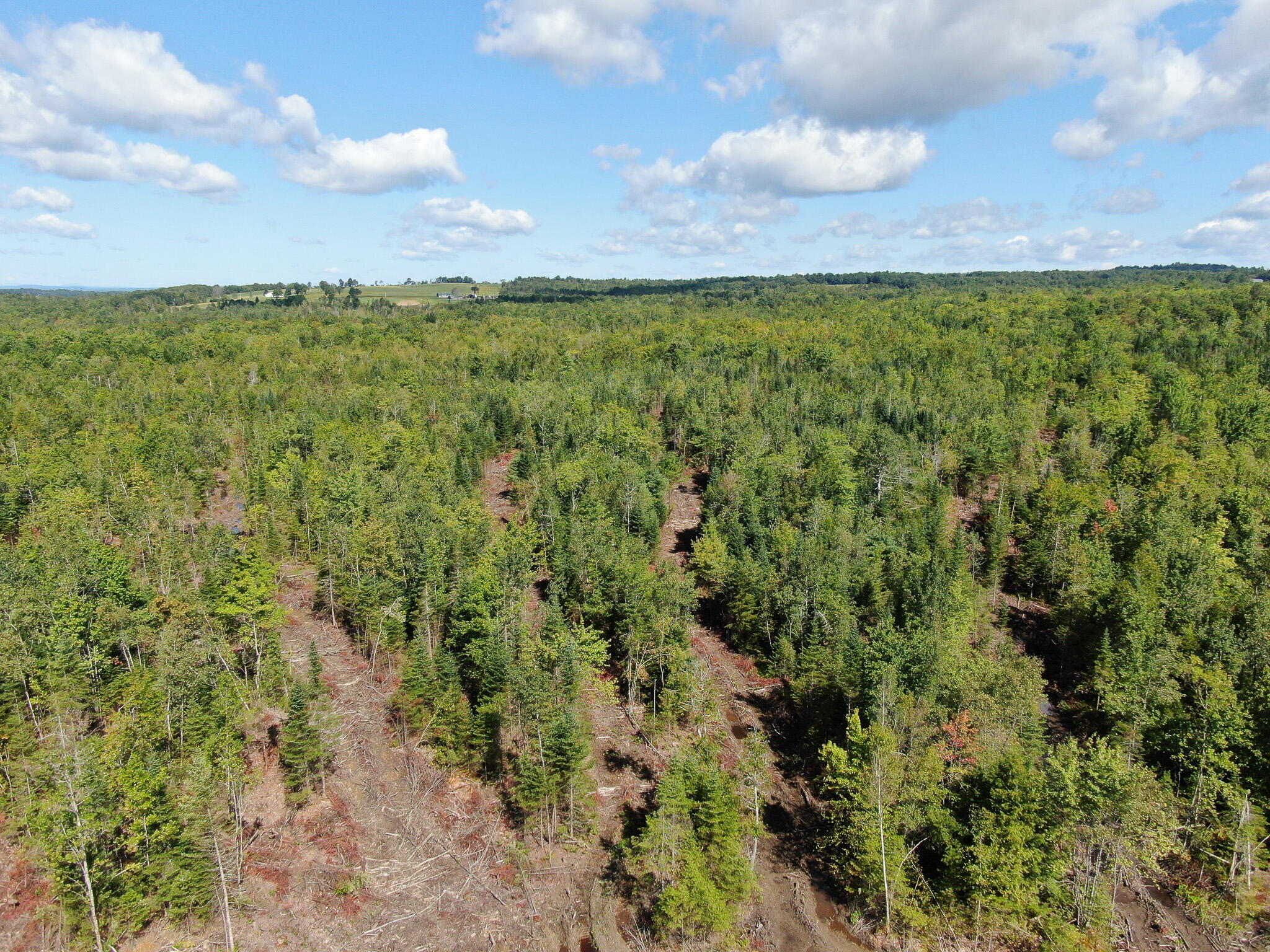 Lot 28 Murray Road Thorndike, ME 04986 - Photo 2 of 38 DJI_0194
