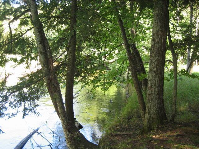 12653 Griffith Road Brethren, MI 49619 - Photo 13 of 14 Additional Photo
