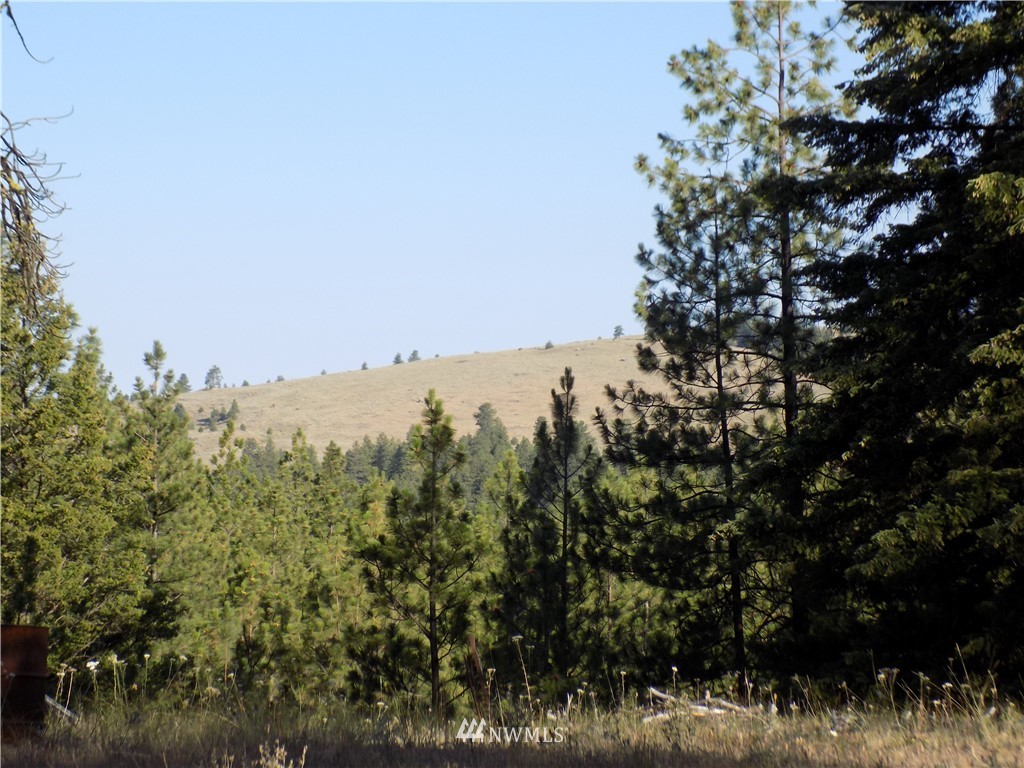 39 Squirrel Road Tonasket, WA 98855 - Photo 14 of 17 a view of a building in a forest