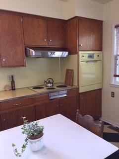 817 Spring Street Ann Arbor, MI 48103 - Photo 8 of 10 Photo 8