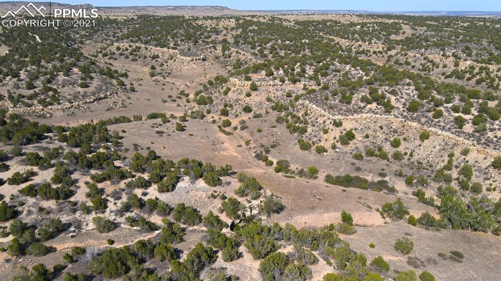 3119 County Road 112 Road Rye, CO 81089 - Photo 2 of 5