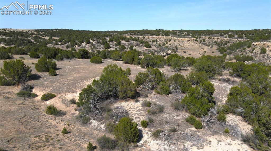3119 County Road 112 Road Rye, CO 81089 - Photo 4 of 5