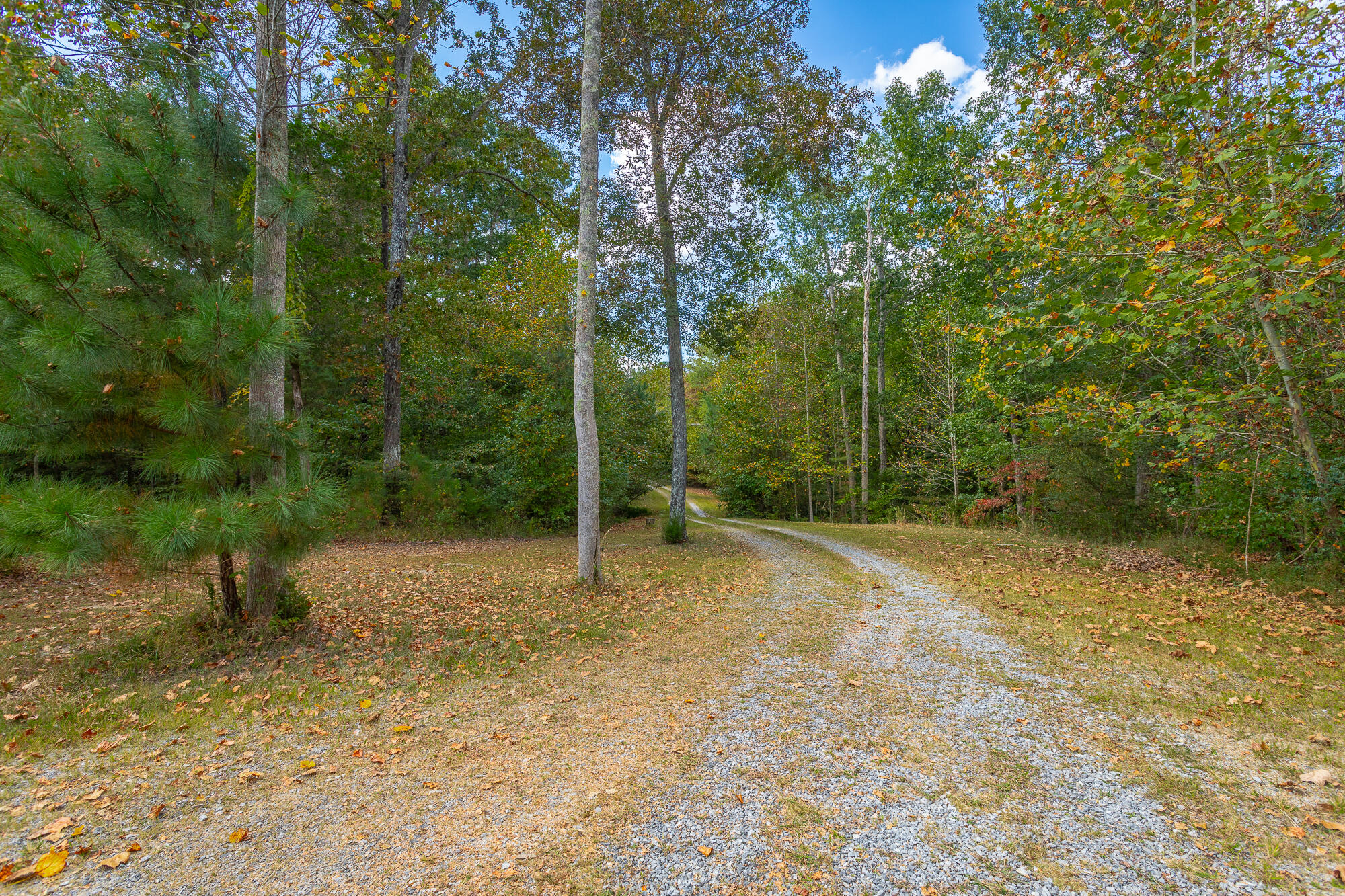 4562 Keith Road Ringgold, GA 30736 - Photo 42 of 47 44