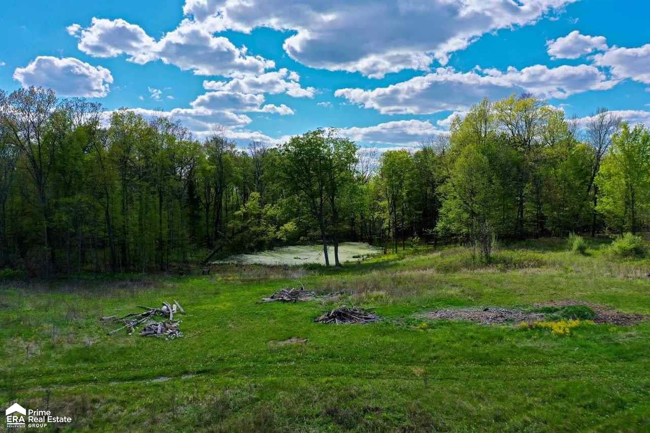 8290 Henderson Road Goodrich, MI 48438 - Photo 13 of 18