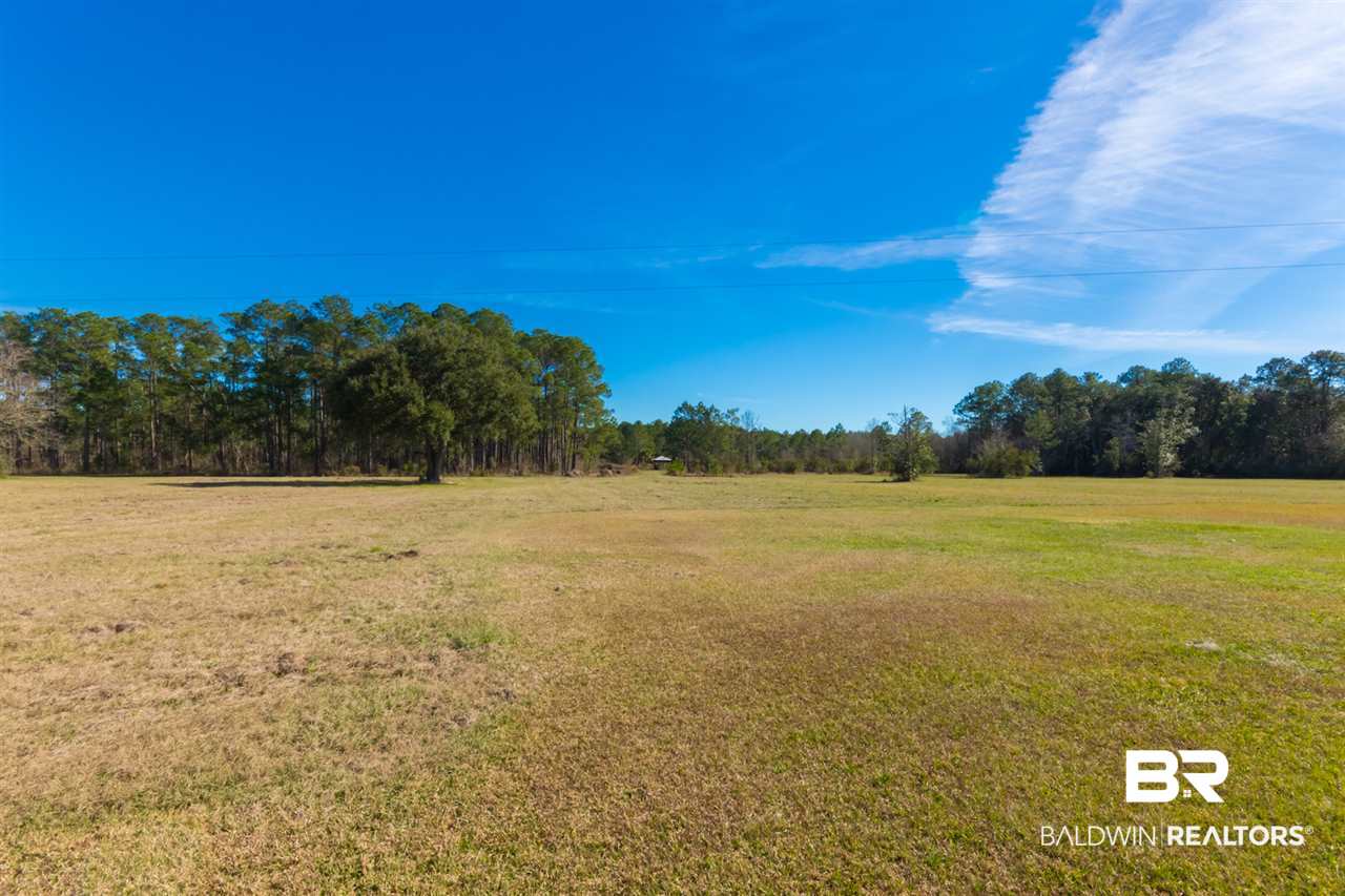 21801 County Road 28 Foley, AL 36535 - Photo 12 of 41
