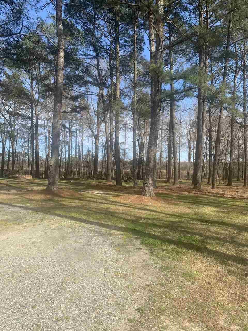 713 Federal Road Benson, NC 27504 - Photo 28 of 29 Photo 28