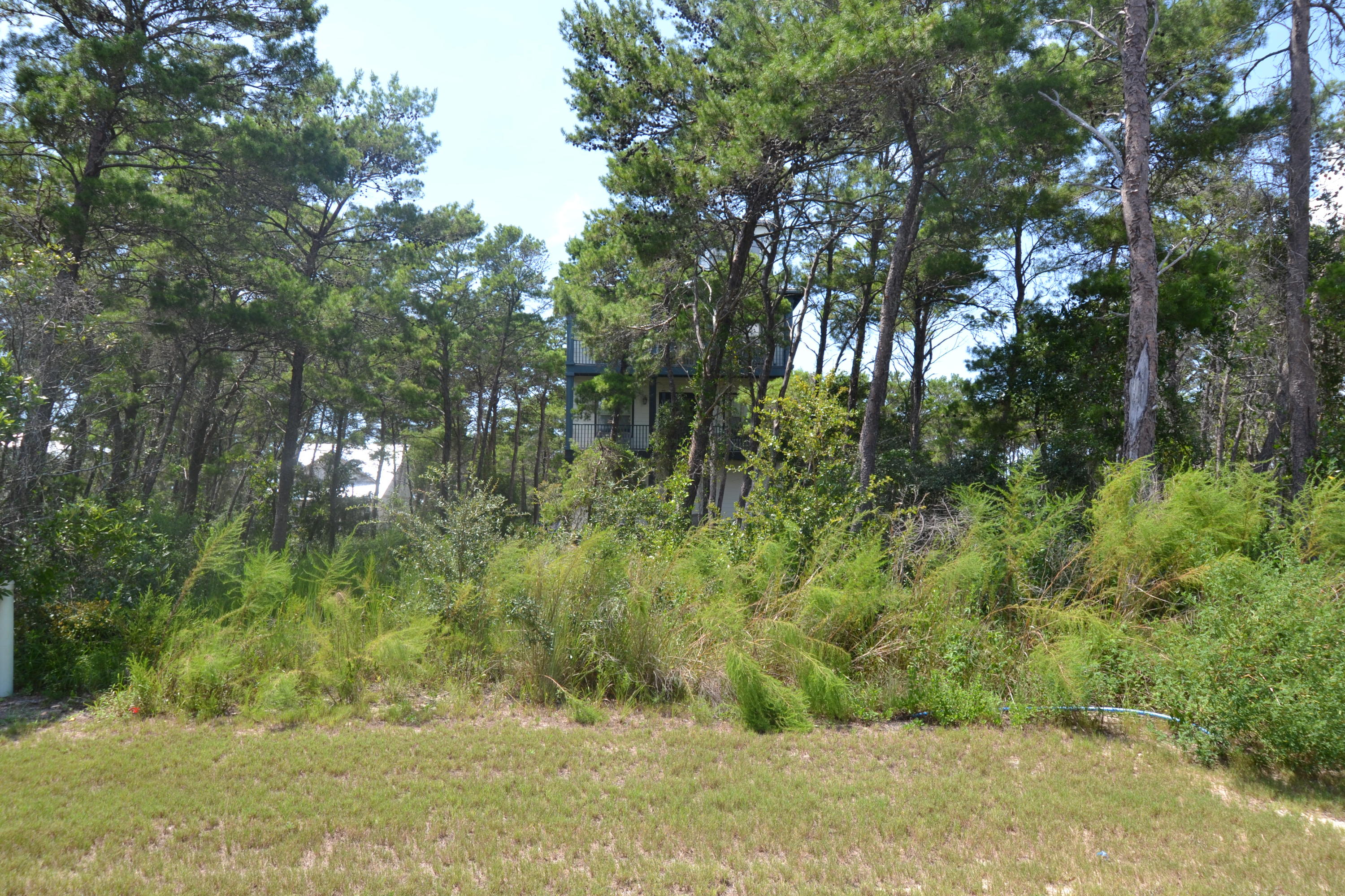 Lot 79 Grande Pointe Drive Inlet Beach, FL 32461 - Photo 7 of 15 a view of outdoor space and trees