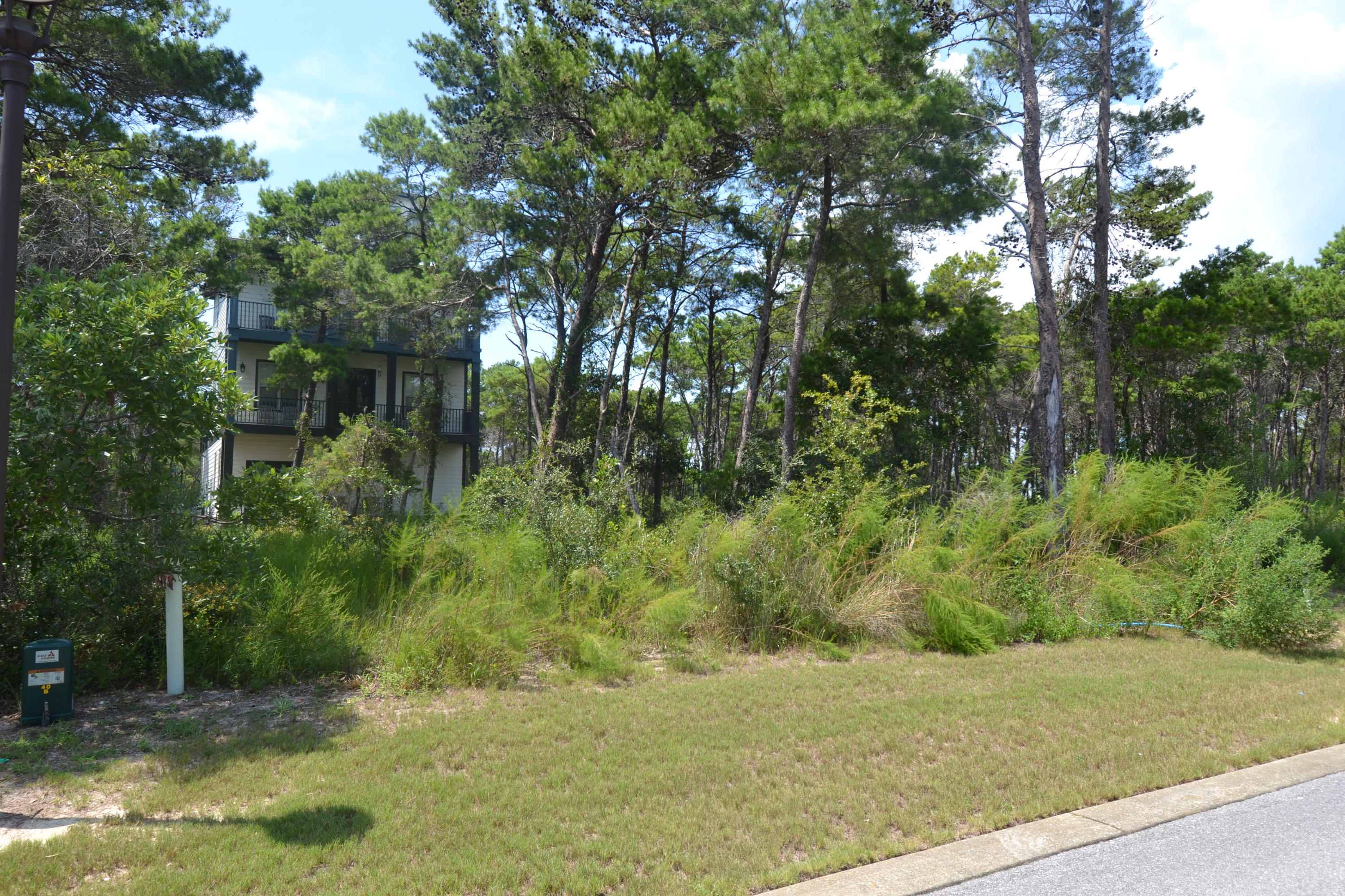 Lot 79 Grande Pointe Drive Inlet Beach, FL 32461 - Photo 8 of 15 a view of a big yard with large trees