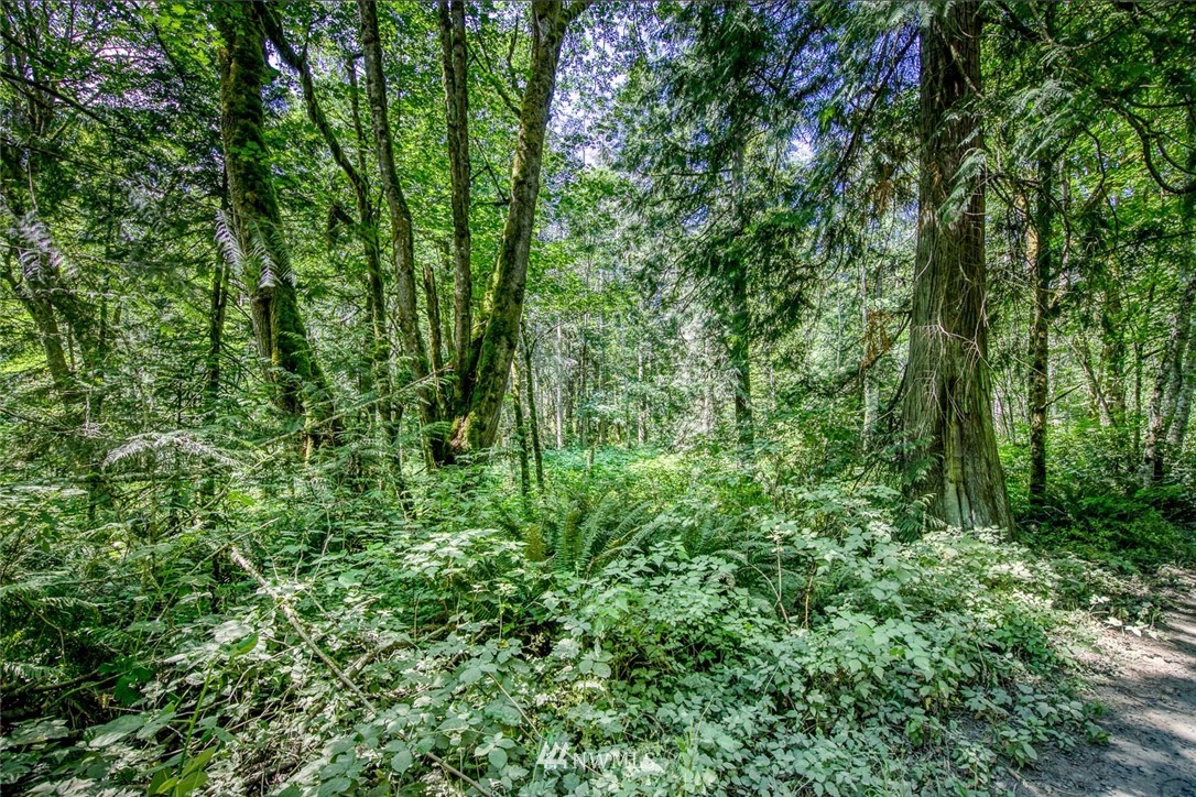 1 Seatter Road Northeast Kingston, WA 98346 - Photo 11 of 12 Gallery Image 11