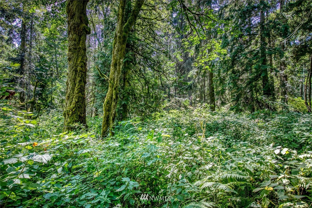1 Seatter Road Northeast Kingston, WA 98346 - Photo 3 of 12 Gallery Image 3