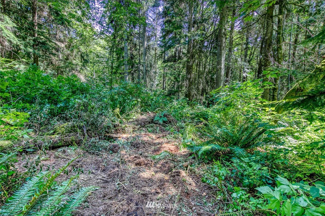 1 Seatter Road Northeast Kingston, WA 98346 - Photo 7 of 12 Gallery Image 7