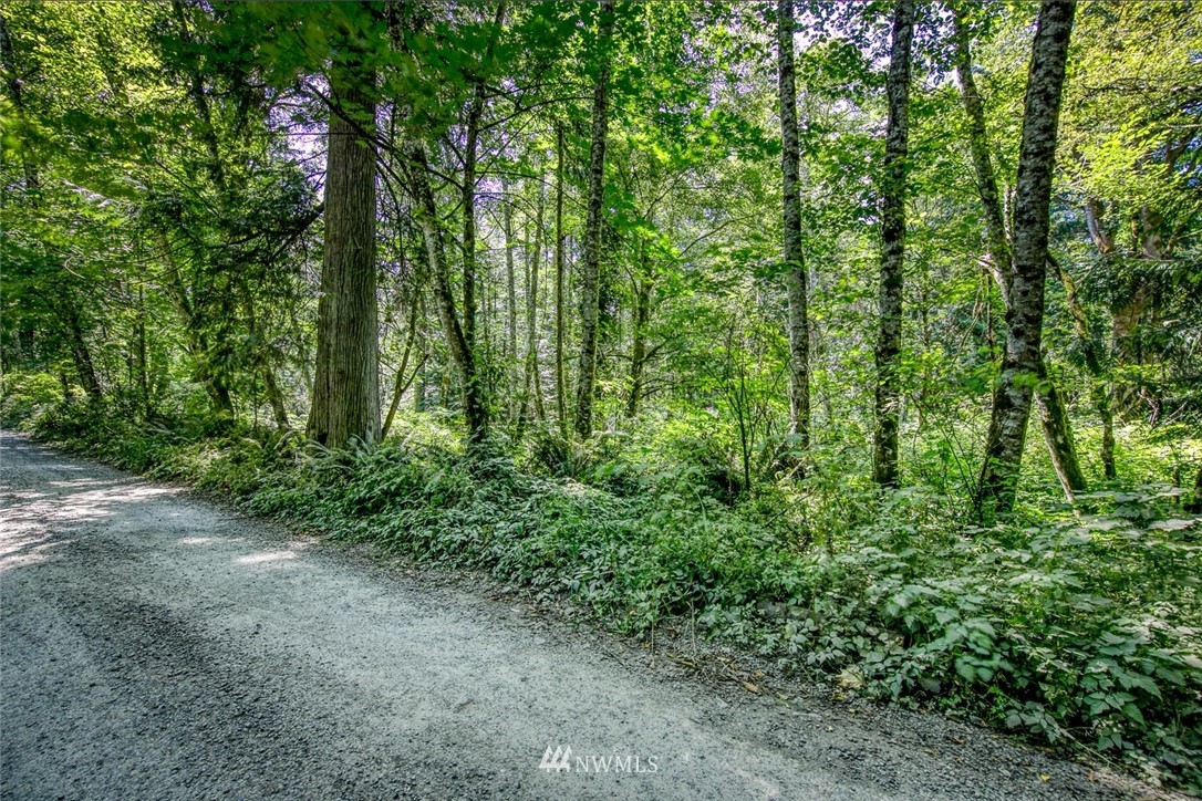 1 Seatter Road Northeast Kingston, WA 98346 - Photo 9 of 12 Gallery Image 9