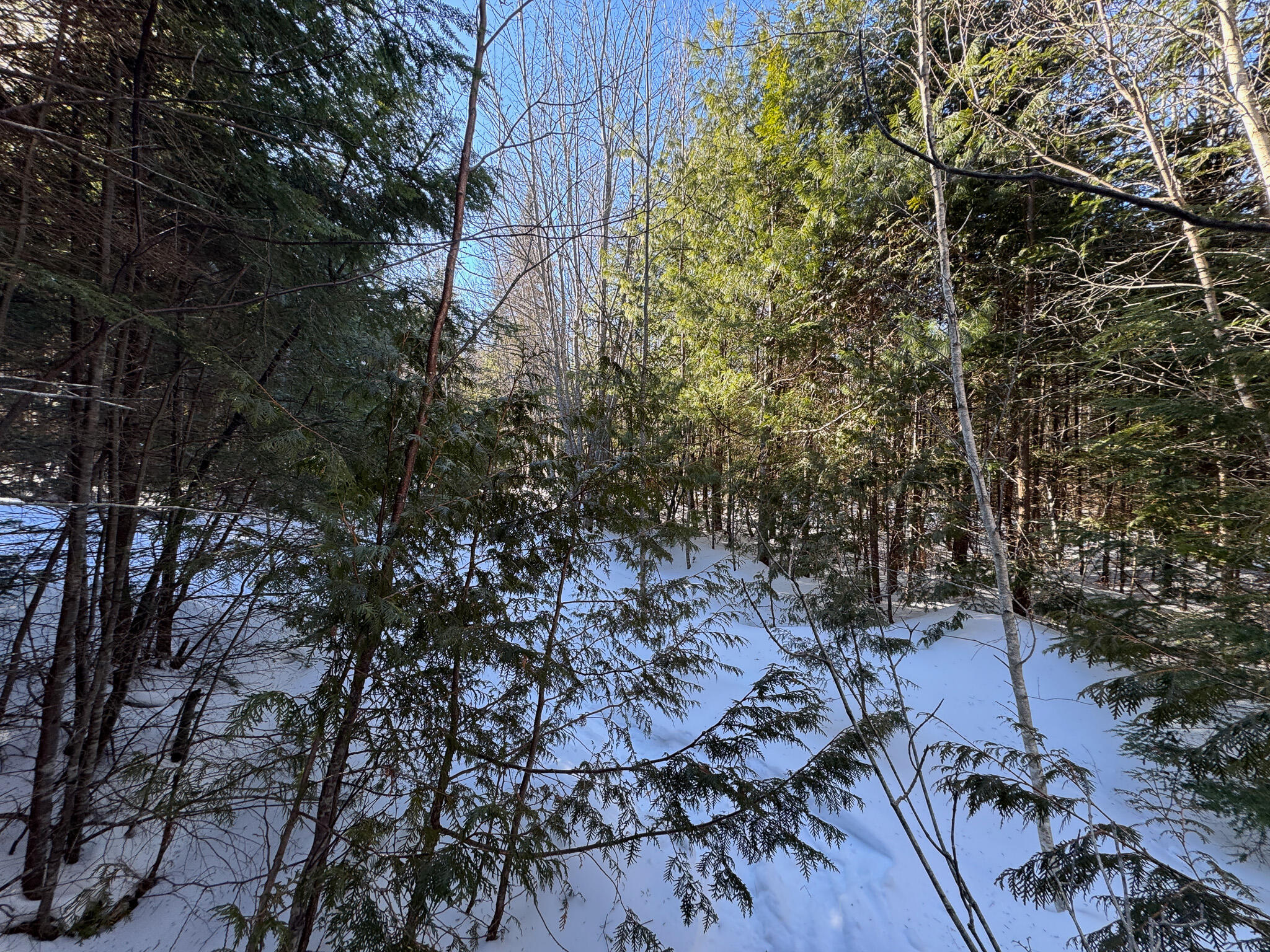 M5-l26 Clark Road Burlington, ME 04417 - Photo 12 of 26 IMG_1120