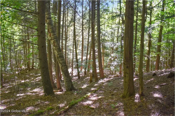 $76,900 | 112 Carriage Knoll Road, Chestertown, NY 12817