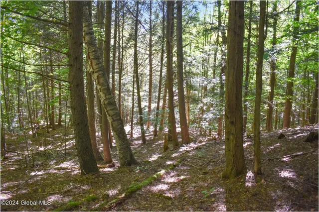 $76,900 | 112 Carriage Knoll Road, Chestertown, NY 12817