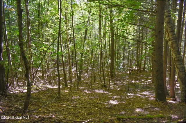 $76,900 | 112 Carriage Knoll Road, Chestertown, NY 12817