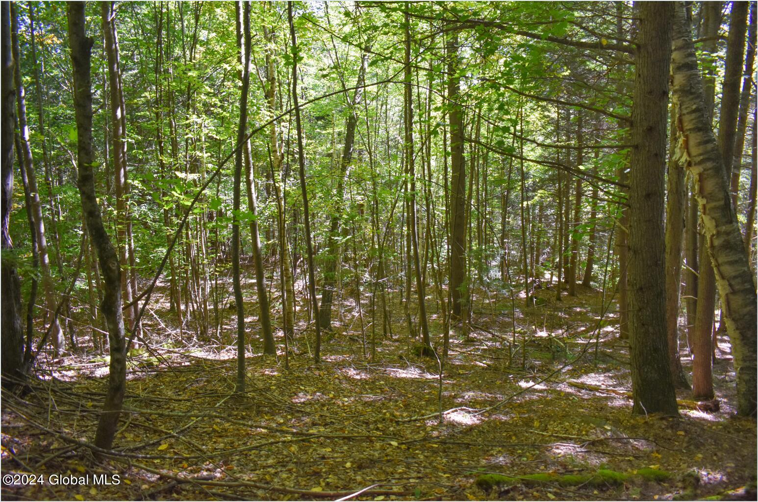 112 Carriage Knoll Road Chestertown, NY 12817 - Photo 12 of 23 112e