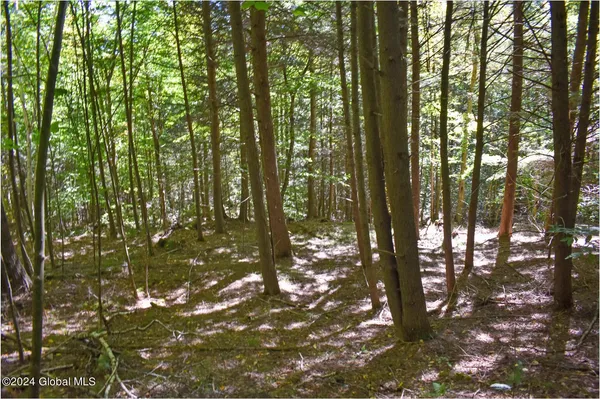 $76,900 | 112 Carriage Knoll Road, Chestertown, NY 12817